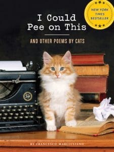 12 Gift Books For People Who Love Cats The Catington Post