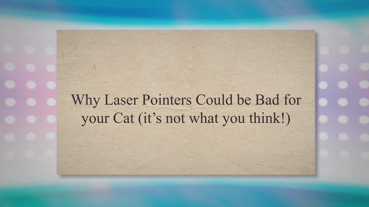 Why Laser Pointers Could be Bad for your Cat (it’s not what you think!)