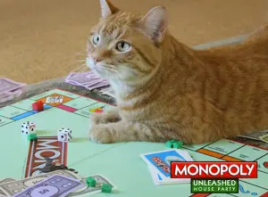 cat monopoly