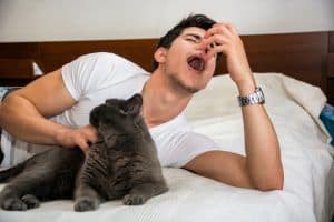 Cat Breeds for People with Allergies