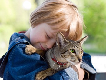 Cat and Child