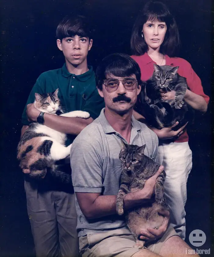 awkward family cat photos