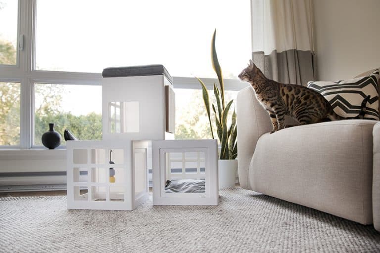 Review & Giveaway: Katt3 Trendy House for Cats