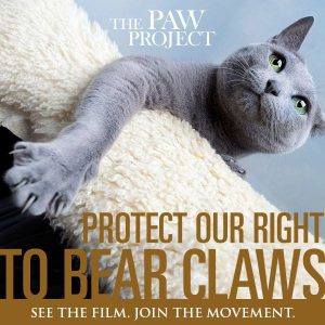 The Paw Project: A Mission to Ban Declawing