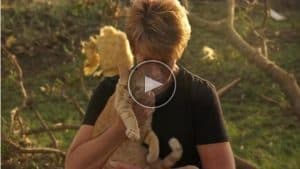 VIDEO: Cat Emerges from Tornado Rubble During TV Interview