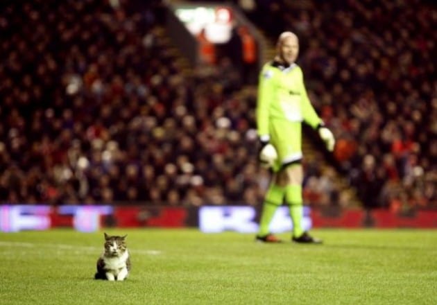 February 7, 2012: Liverpool