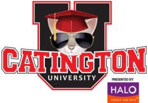 Catington University Presents: Dr. Donna Spector – How to Feed Cats for their Best Health