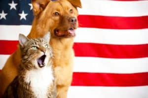 Petco Pulls All China-Made Cat & Dog Treats from Shelves