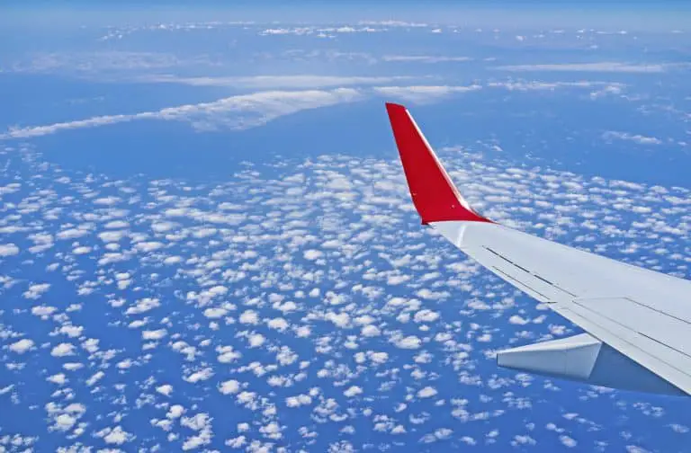Flying…With a Cat!