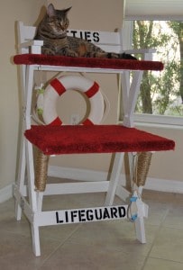Kitty Lifeguard Scratching Post