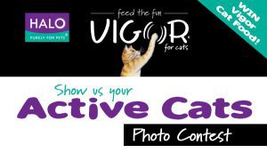 Photo Contest: Win Vigor Cat Food!