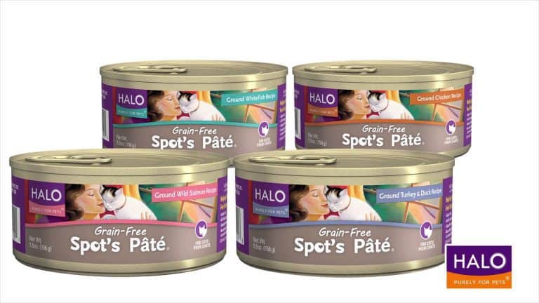 VIDEO: Why Halo is Good for Diabetic Cats with Dr. Donna Spector