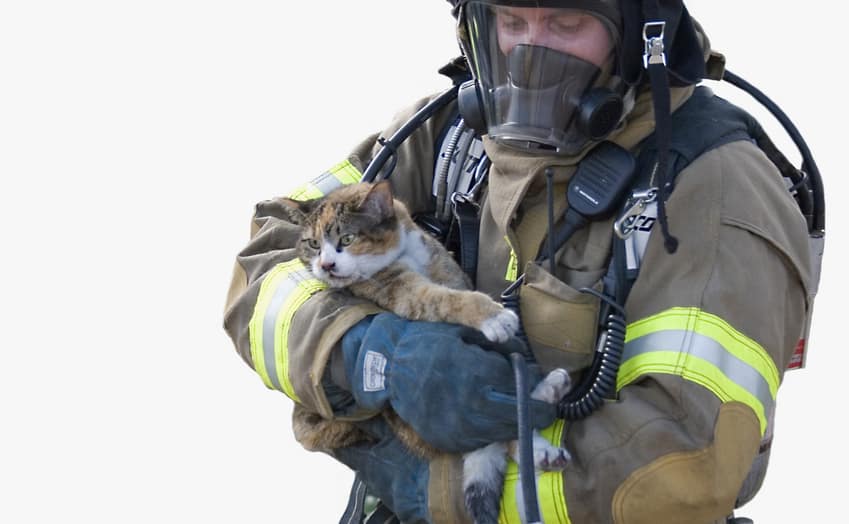 cat-firefighter
