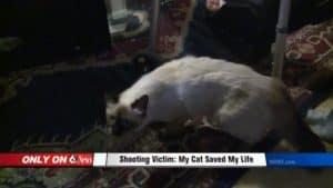 Shooting Victim: My Cat Saved My Life!