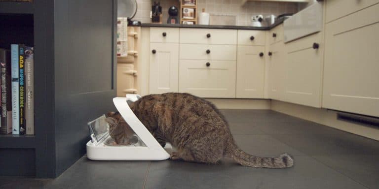 Review & Giveaway: This High-Tech Feeder Solves an Age-Old Problem!