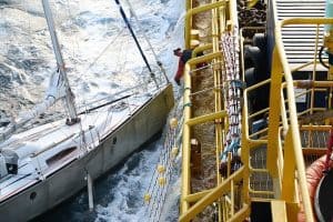Sailor Jumps to Safety in Rough Waters – And Saves His Pet Cat!
