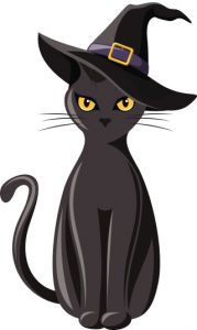 Black cat with witches hat. 