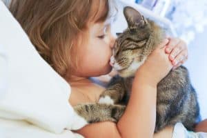 The Best Cats for Kids