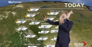 Meet Skully, The Naked Weather Cat!