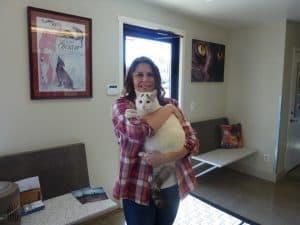 Woman Reunited with Her Cat 6 Months After it Went Missing in a Fire