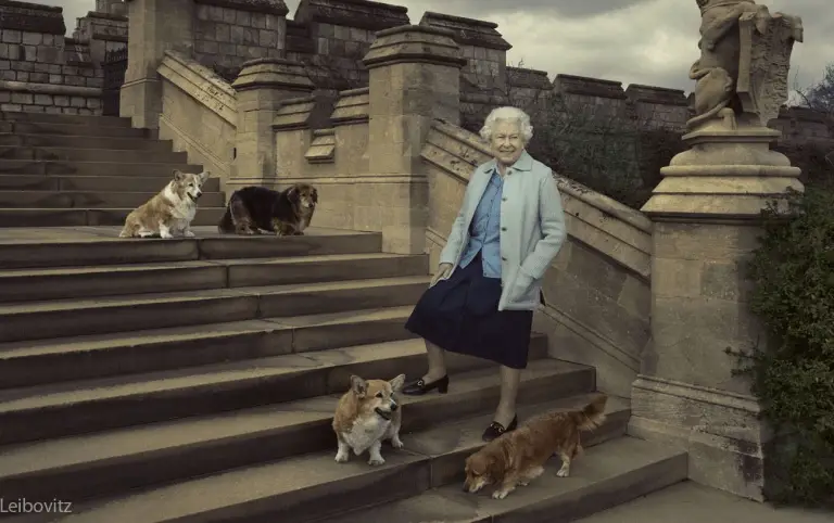 Proof Emerges that The Queen of England Liked Cats