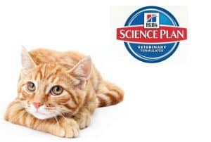 RECALL ALERT: Hill’s Cat Food Pouches Recalled Due To High Levels of Iron