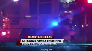 Hero Cat Saves Family From House Fire