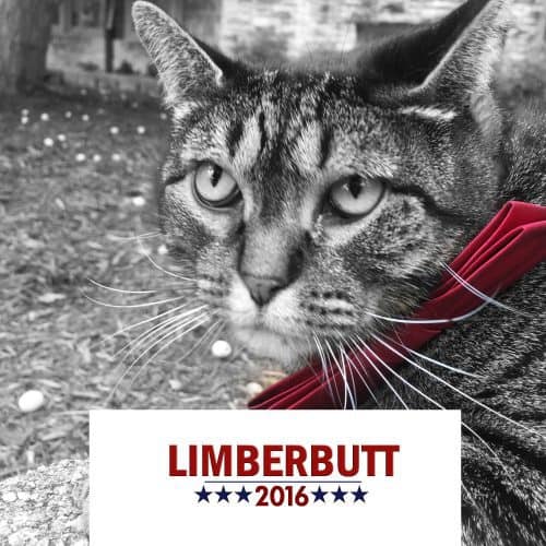 Credit: facebook.com/Limberbutt4President2016