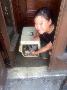 Rescuer Karen Oh via Facebook/FAT Cats