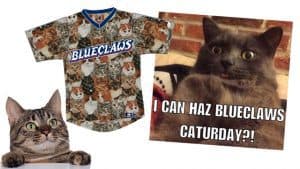 Baseball Team to Wear Cat Jerseys on Caturday (And Cats Can Come to the Game!)
