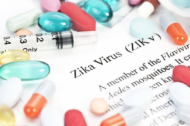Can Cats Catch or Transmit Zika Virus?