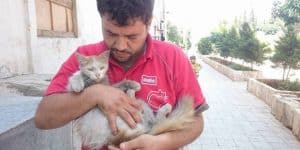 ‘Cat Man of Aleppo’ Cares for Hundreds of Abandoned Cats in War-Torn Syria