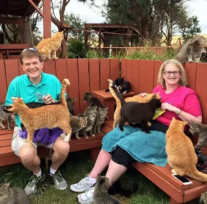 Call Your Travel Agent: You Can Cuddle 500 Cats at a Time in Hawaii!