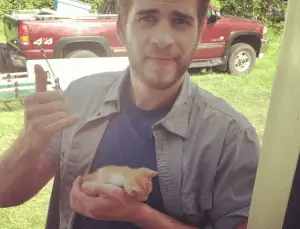 Celebrity Men Who Love Cats!