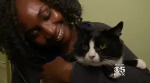 At UCSF Medical Center, ‘ICU’ Now Stands for Intensive CAT Unit