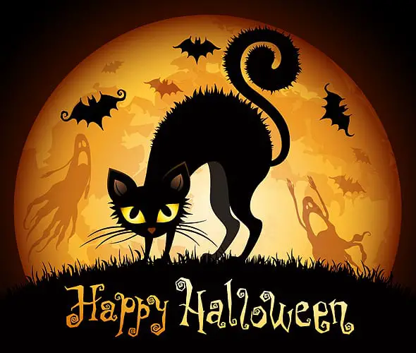 Fiesty Black & Orange Halloween Evil Cat 