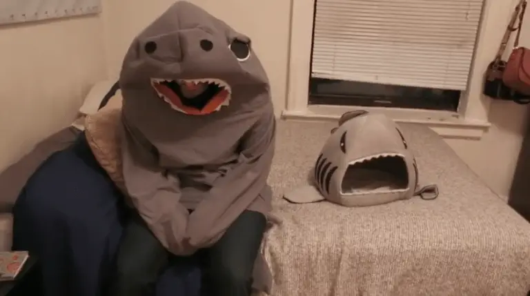 Guy Surprises Cat By Dressing Up As His Favorite Toy