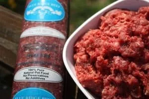 RECALL ALERT: Blue Ridge Beef Raw Pet Food Recalled Due to Possible Health Risk