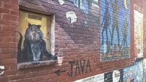 MUST SEE: There’s an Alley in New Hampshire That’s Full of Cat Street Art!