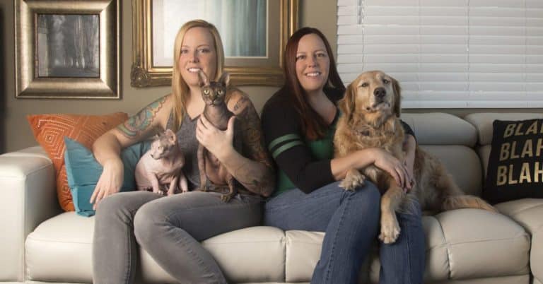 Ask the Experts: Gifting Thoughtfully For Pets (& Pet Parents!) This Holiday Season