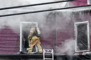 Hero Cat Saves a Man & Three Dogs from a House Fire