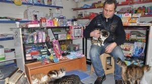 Shop Owner in Istanbul Turned His Store Into a Temporary Animal Shelter
