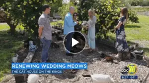 Couple Renews Vows Surrounded by Hundreds of Cats