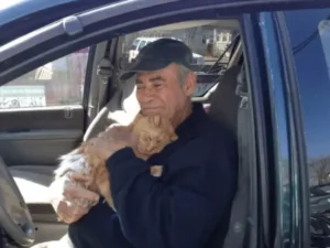 75-Year-Old Man Raises $28K for Stray Cats