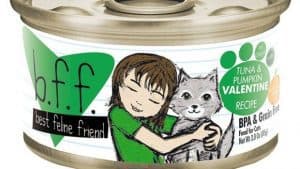 RECALL ALERT: Best Feline Friend (BFF) Cat Food Recalled After Reports of Illness