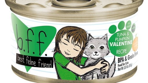 Recall Alert Best Feline Friend Bff Cat Food Recalled After Reports Of Illness The Catington Post