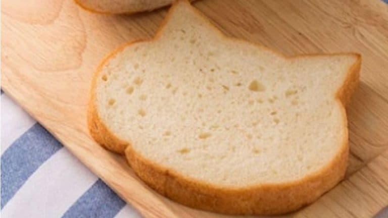 Cat-Shaped Sliced Bread is the Best Thing Since…Regular Shaped Sliced Bread!