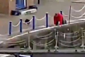 WATCH: Hero Rescues Drowning Cat from the River Thames