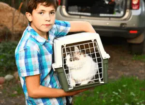 Five Ways To Prepare Your Pets For Hurricanes (& Other Disasters)