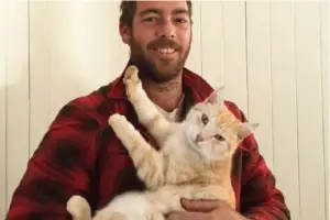 Cat Reunites With Owner After Epic 620 Mile Journey Across Australia